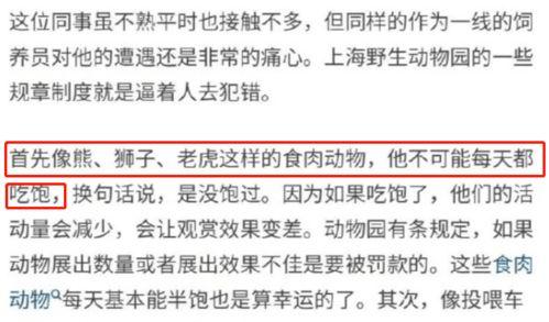 今日揭西爆料视频播放时间,揭秘今日热点事件，播放时间引发热议
