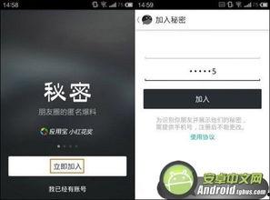 匿名爆料揭秘视频大全,网络暗流涌动的真相全解析