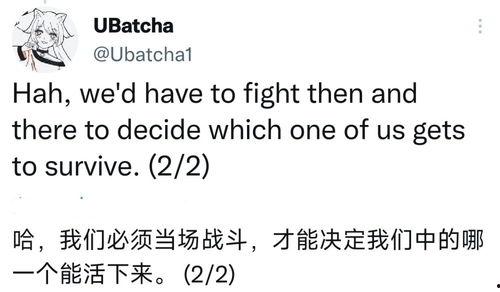 原神执行官爆料国外视频,国外视频背后的精彩故事  第1张