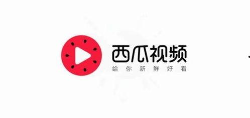 今日头条西瓜视频爆料,揭秘热门事件背后真相 第3张 今日头条西瓜视频爆料,揭秘热门事件背后真相 第3张