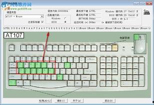 最新键盘爆料软件下载,软件下载功能全面升级，体验全新打字革命