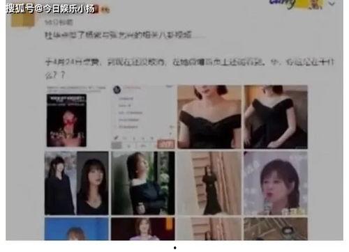 最新吃瓜爆料恋情视频播放,甜蜜互动引网友热议
