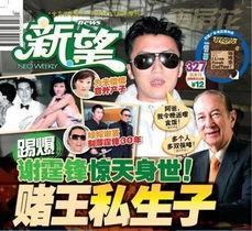 香港赌王爆料视频大全,香港赌坛风云录