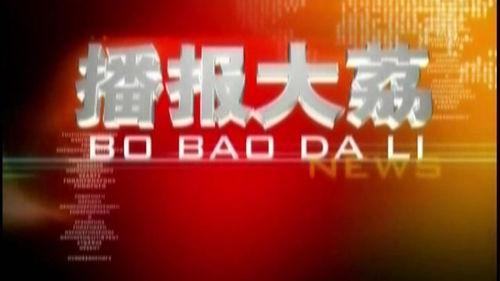 大荔最新爆料事件新闻,事件真相渐浮水面，公众关注焦点再升级