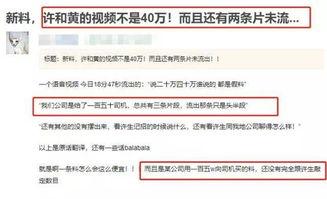 港媒爆料配图视频大全下载,揭秘配图视频大全下载幕后真相