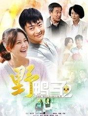 野鸭子第二部全集在线观看,感人至深的亲情与成长之旅 第1张 野鸭子第二部全集在线观看,感人至深的亲情与成长之旅 第1张