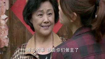 野鸭子第二部全集在线观看,感人至深的亲情与成长之旅 第3张 野鸭子第二部全集在线观看,感人至深的亲情与成长之旅 第3张